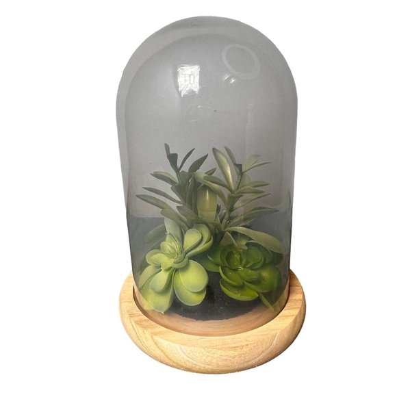 Homegoods Accents Succulent Terrarium Glass Wood Base Faux Plants